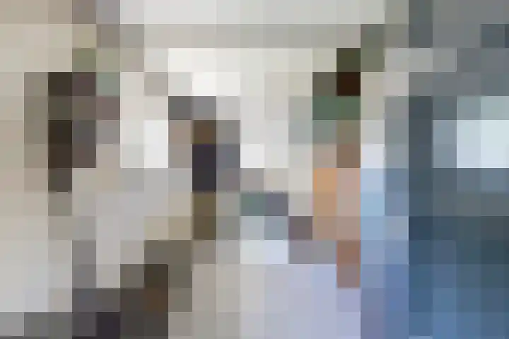 Wilhelminastraat 45 Kortgene thumbnail 10