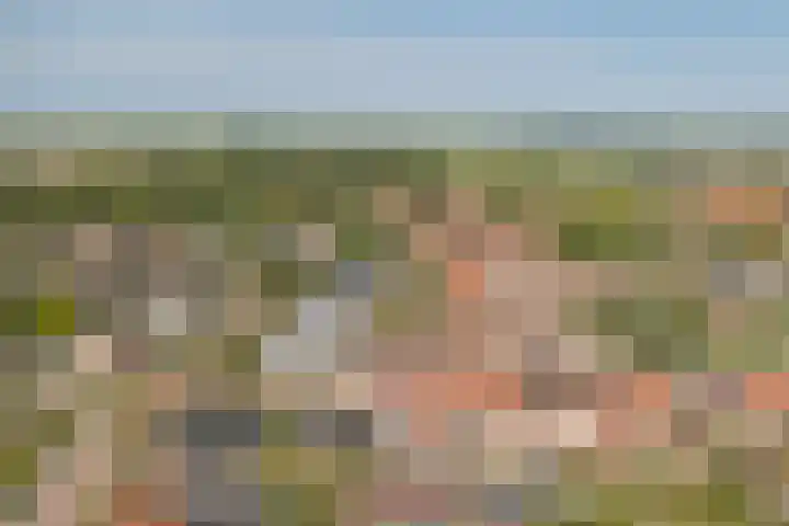 Wilhelminastraat 45 Kortgene thumbnail 22