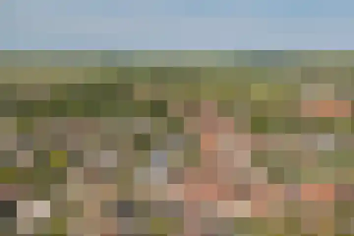 Wilhelminastraat 45 Kortgene thumbnail 23
