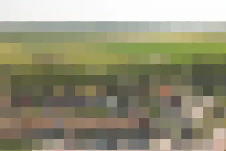 Wilhelminastraat 45 Kortgene thumbnail 24