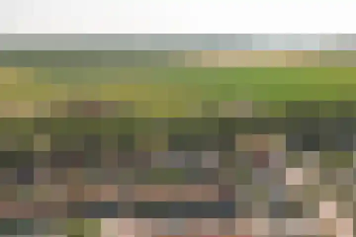 Wilhelminastraat 45 Kortgene thumbnail 25