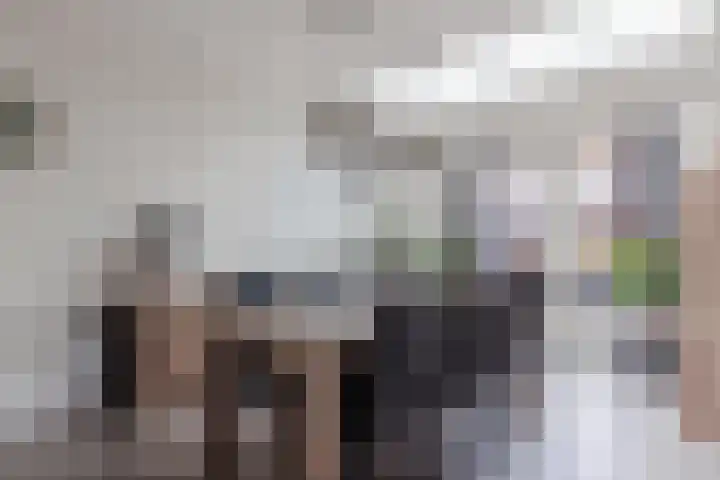 Wilhelminastraat 45 Oud Gastel thumbnail 12