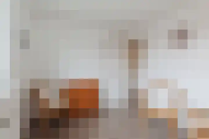 Wilhelminastraat 45 Oud Gastel thumbnail 30
