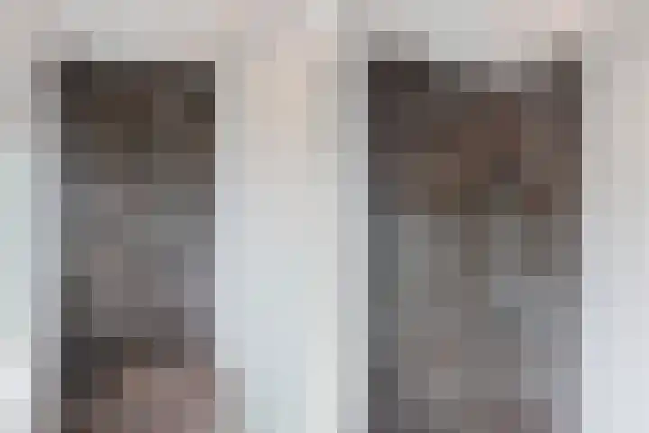 Wilhelminastraat 45 Oud Gastel thumbnail 34