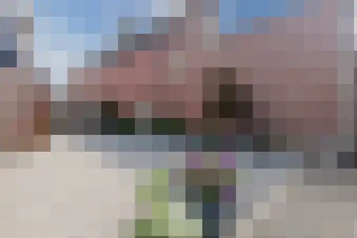 Wilhelminastraat 45 Oud Gastel thumbnail 38