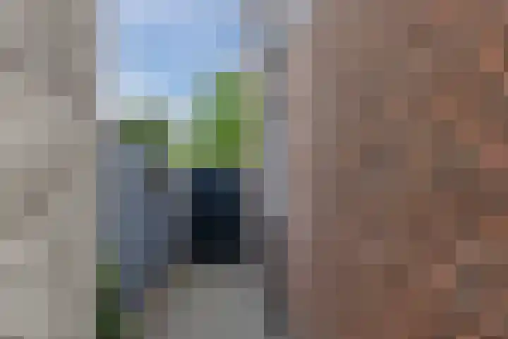 Wilhelminastraat 45 Oud Gastel thumbnail 44