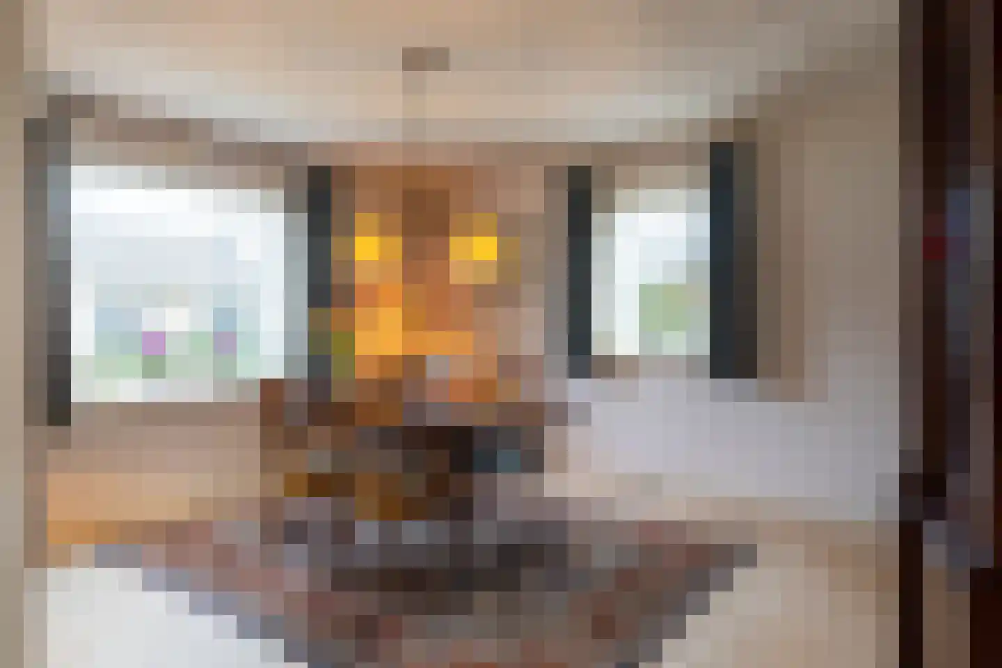 Wilhelminastraat 45 Veen thumbnail 15