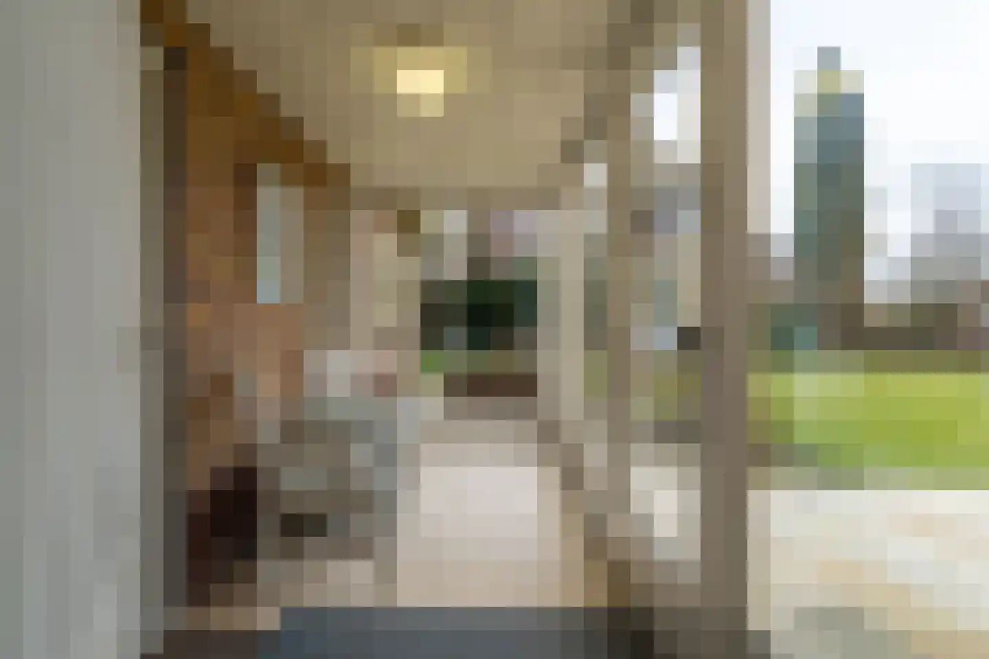 Wilhelminastraat 45 Veen thumbnail 21