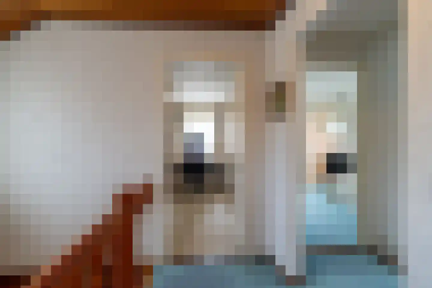 Wilhelminastraat 45 Veen thumbnail 25