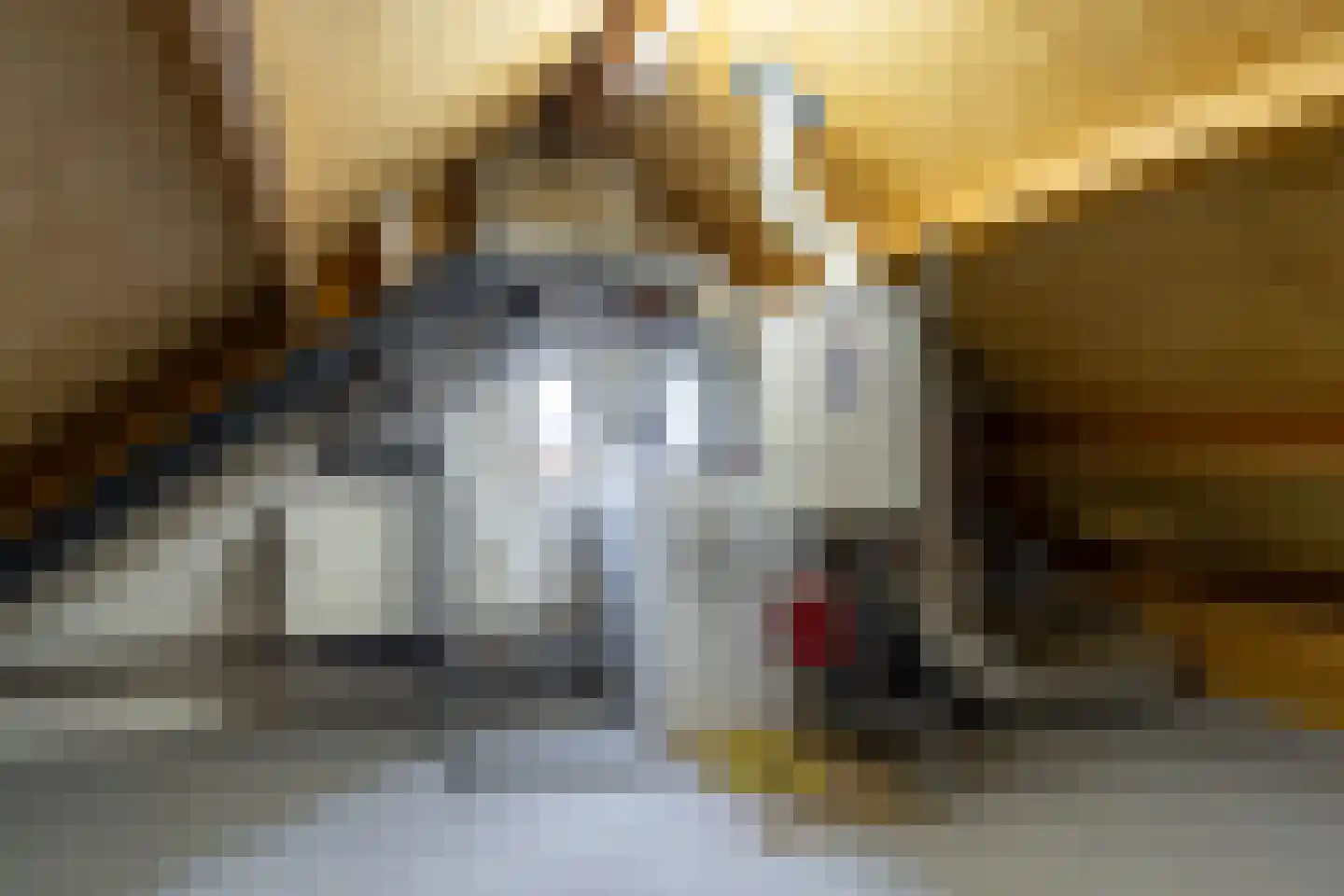 Wilhelminastraat 45 Veen thumbnail 41