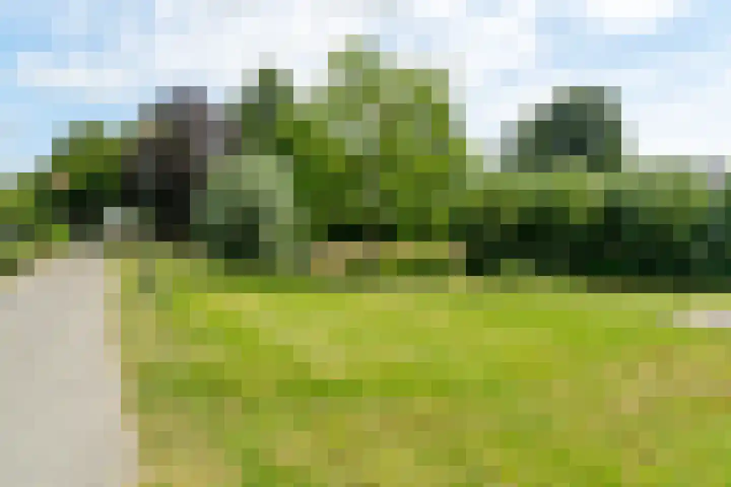 Wilhelminastraat 45 Veen thumbnail 50