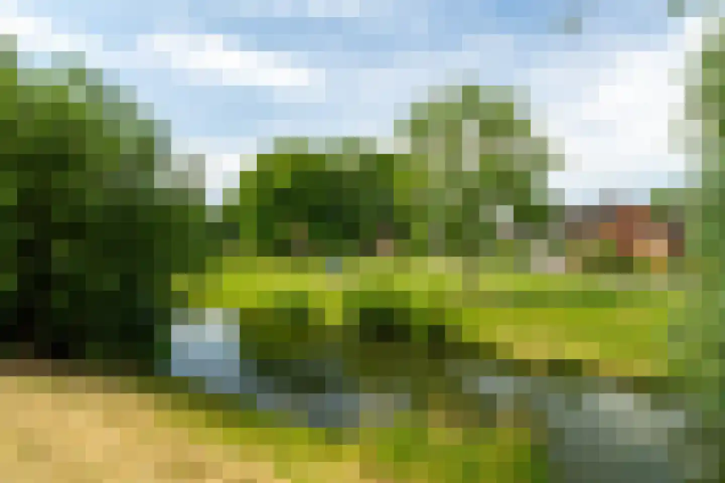 Wilhelminastraat 45 Veen thumbnail 51