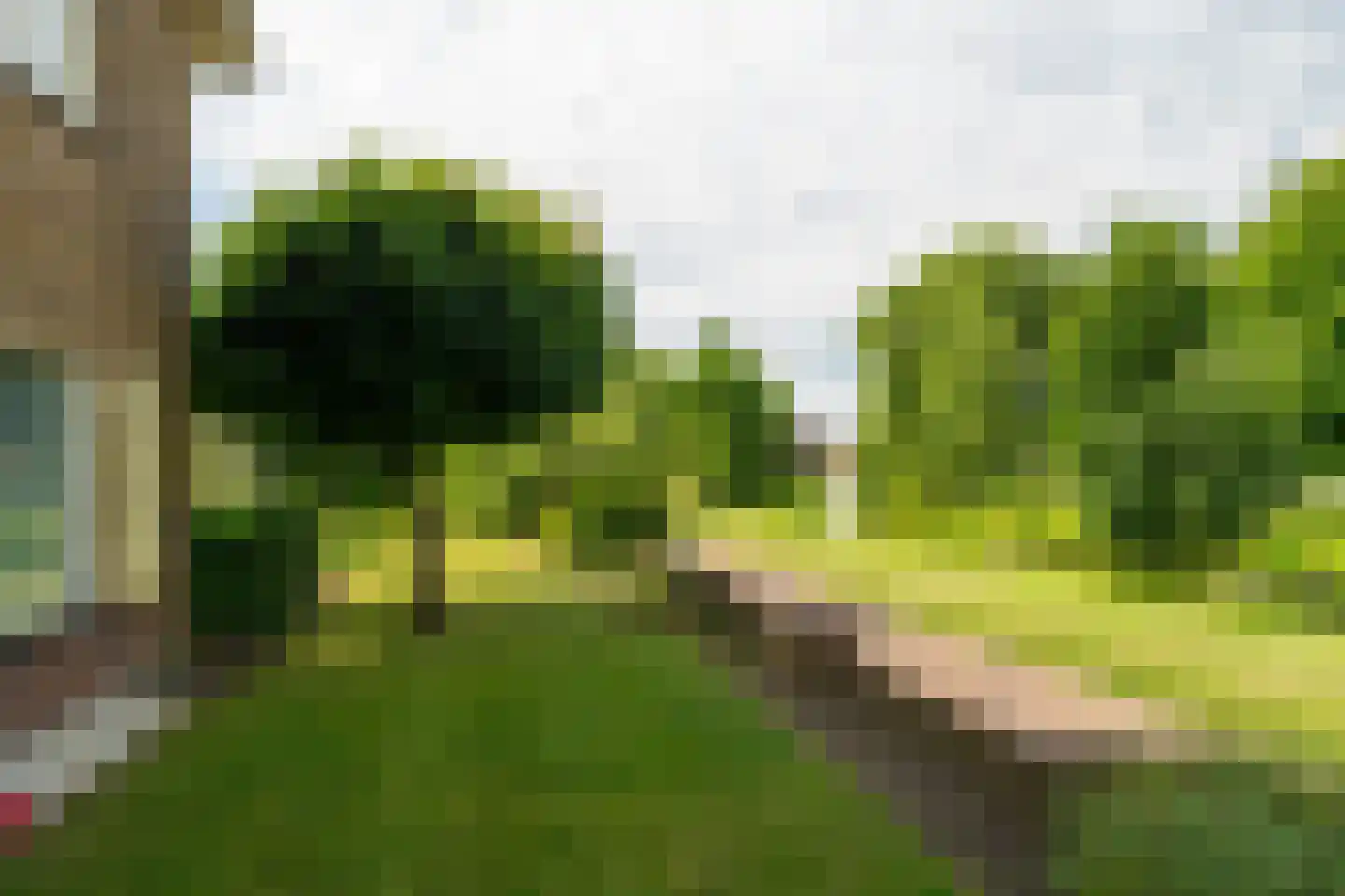 Wilhelminastraat 45 Veen thumbnail 52