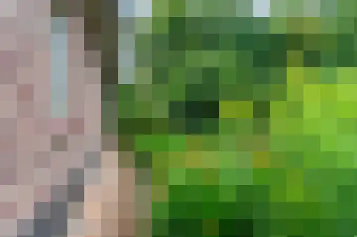 Wilhelminastraat 46 b Vlagtwedde thumbnail 10