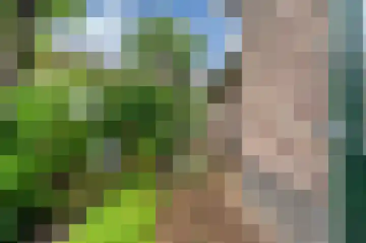 Wilhelminastraat 46 b Vlagtwedde thumbnail 11