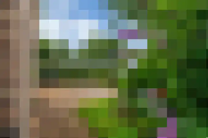 Wilhelminastraat 46 b Vlagtwedde thumbnail 12