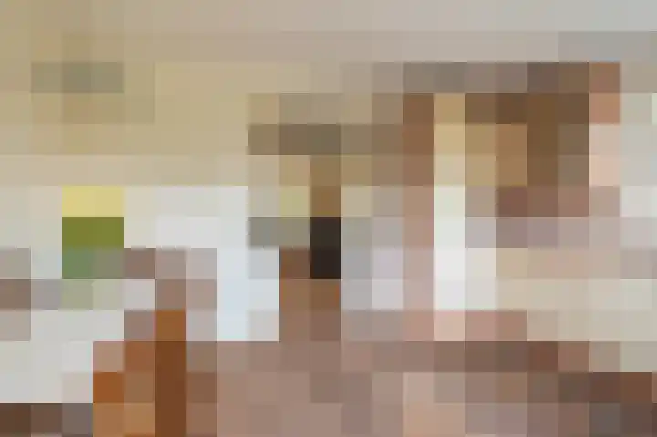 Wilhelminastraat 46 b Vlagtwedde thumbnail 20