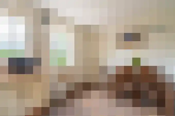 Wilhelminastraat 46 b Vlagtwedde thumbnail 21