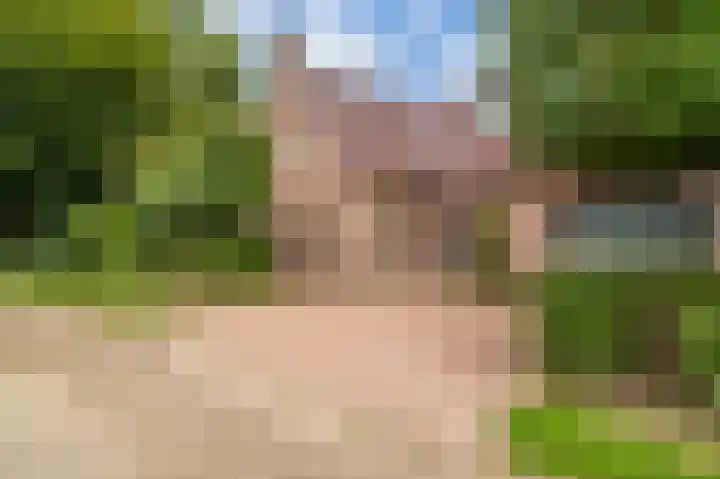 Wilhelminastraat 46 b Vlagtwedde thumbnail 4