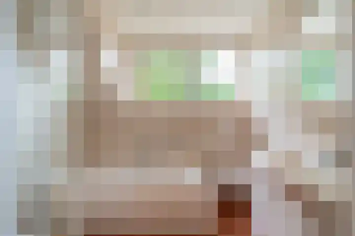 Wilhelminastraat 46 b Vlagtwedde thumbnail 45