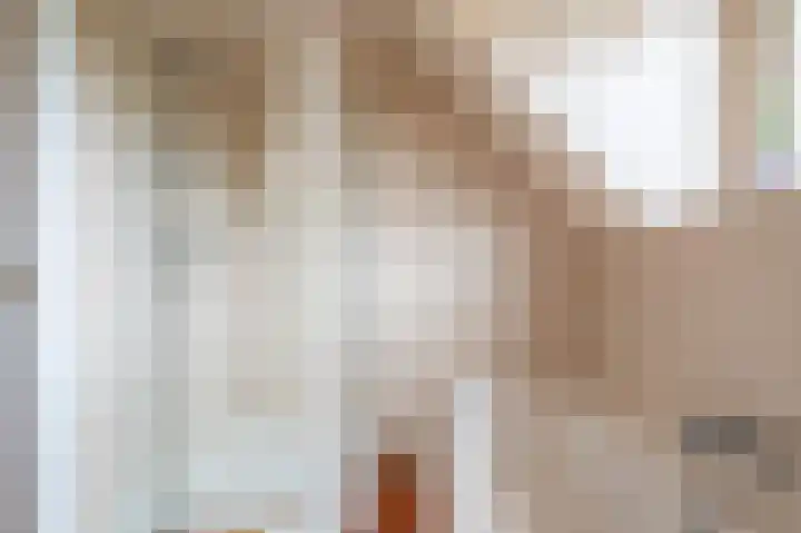 Wilhelminastraat 46 b Vlagtwedde thumbnail 47