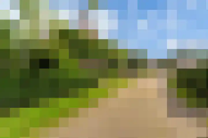 Wilhelminastraat 46 b Vlagtwedde thumbnail 6