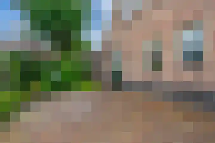 Wilhelminastraat 46 b Vlagtwedde thumbnail 8