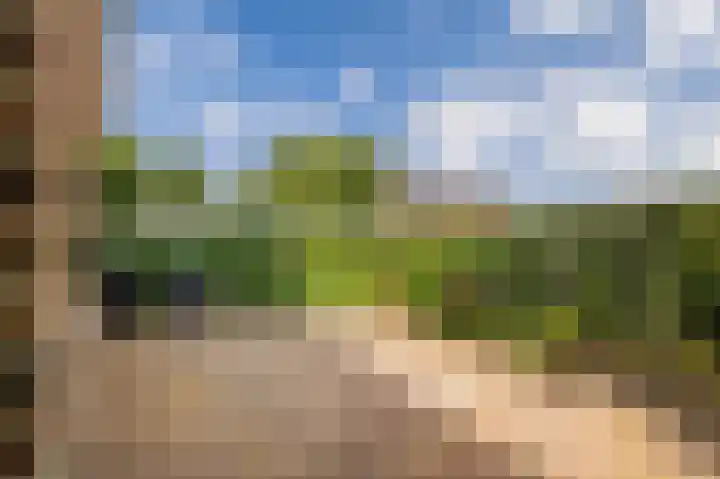 Wilhelminastraat 46 b Vlagtwedde thumbnail 9