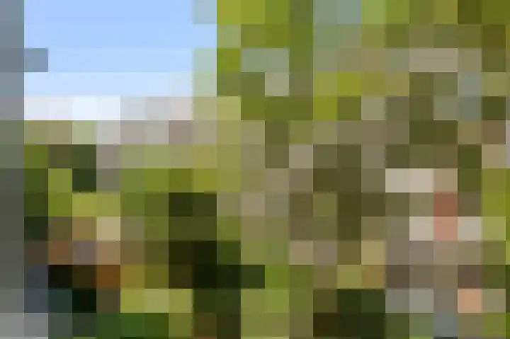 Wilhelminastraat 46 H Amsterdam thumbnail 11