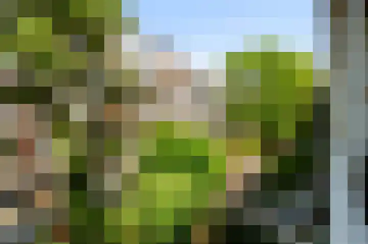 Wilhelminastraat 46 H Amsterdam thumbnail 12