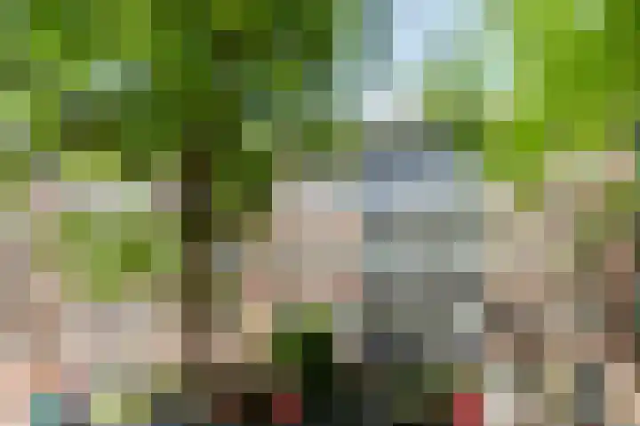 Wilhelminastraat 46 H Amsterdam thumbnail 26