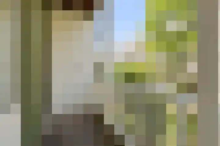 Wilhelminastraat 46 H Amsterdam thumbnail 4