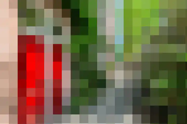 Wilhelminastraat 46 H Amsterdam thumbnail 6