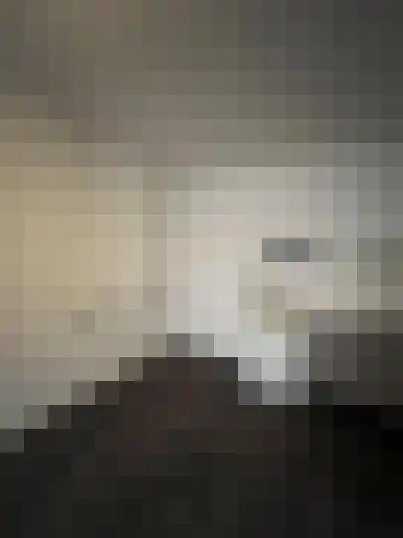 Wilhelminastraat 46 Sittard thumbnail 5