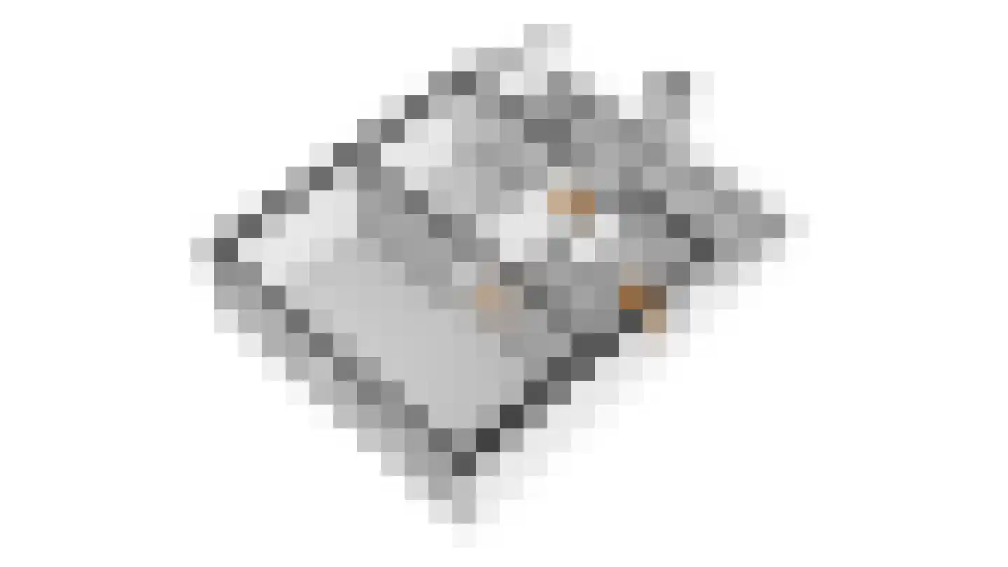 Wilhelminastraat 47 Eijsden thumbnail 27