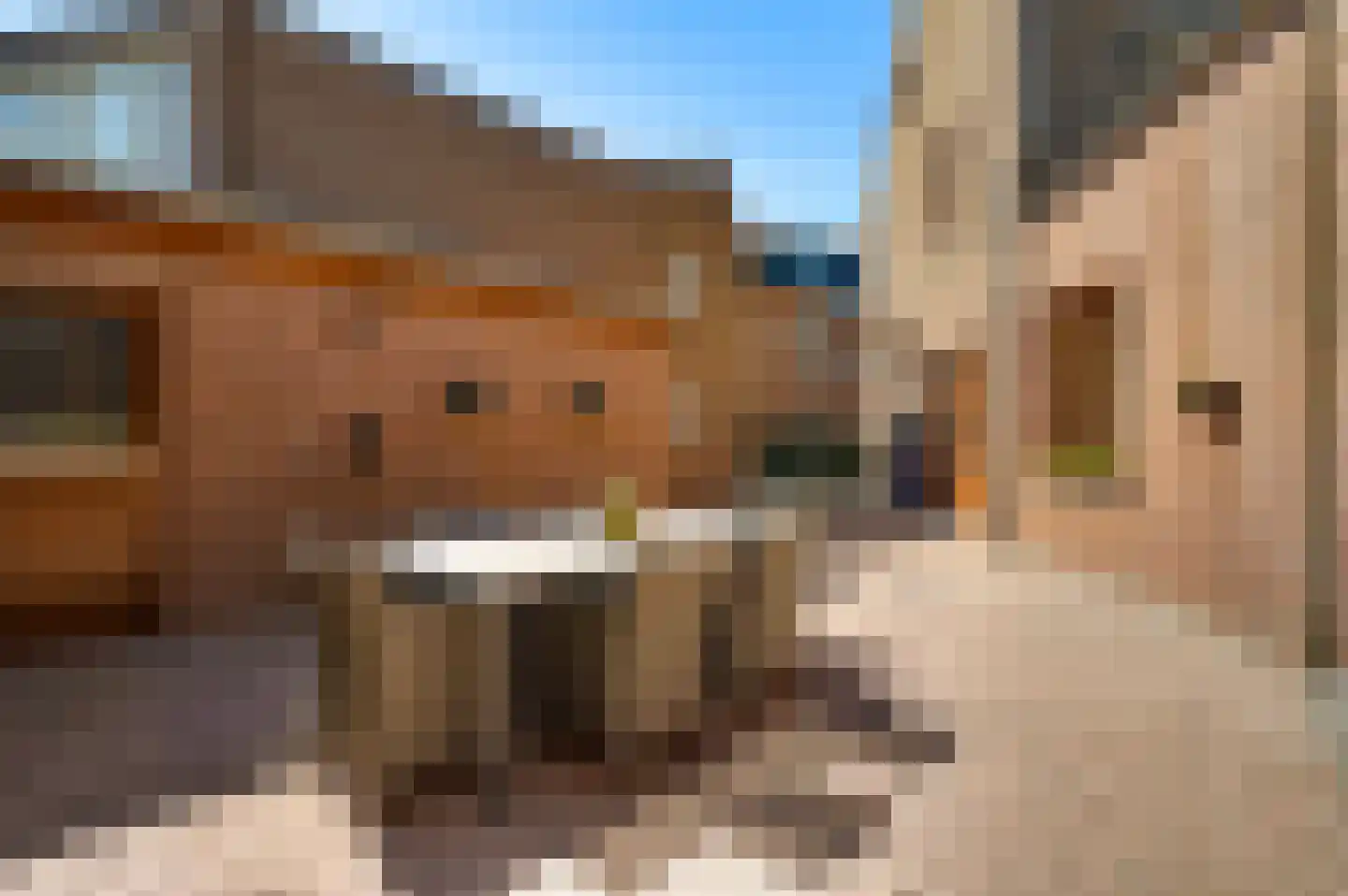 Wilhelminastraat 47 Eijsden thumbnail 4
