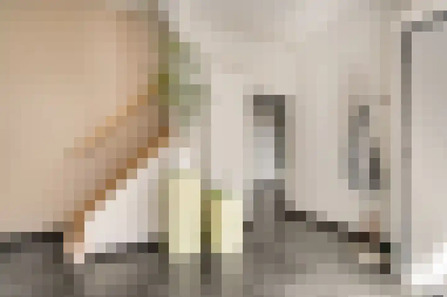 Wilhelminastraat 47 Eijsden thumbnail 7