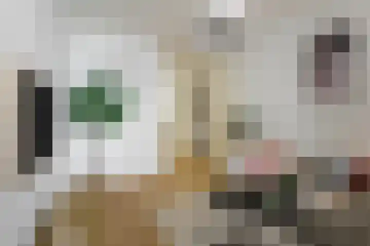 Wilhelminastraat 47 H Amsterdam thumbnail 10