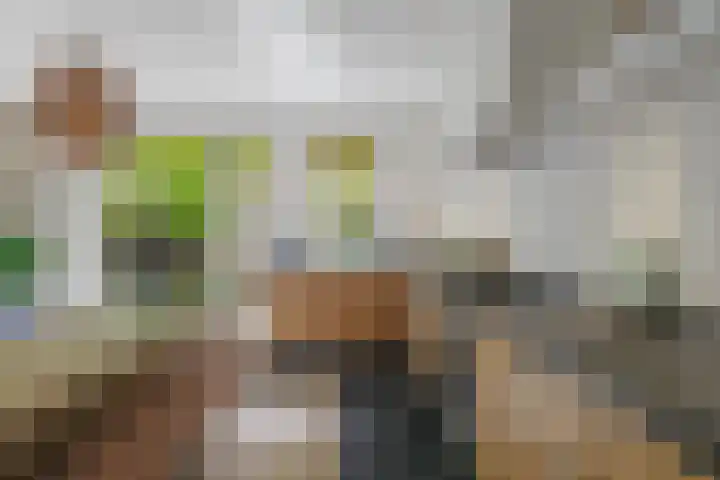 Wilhelminastraat 47 H Amsterdam thumbnail 12
