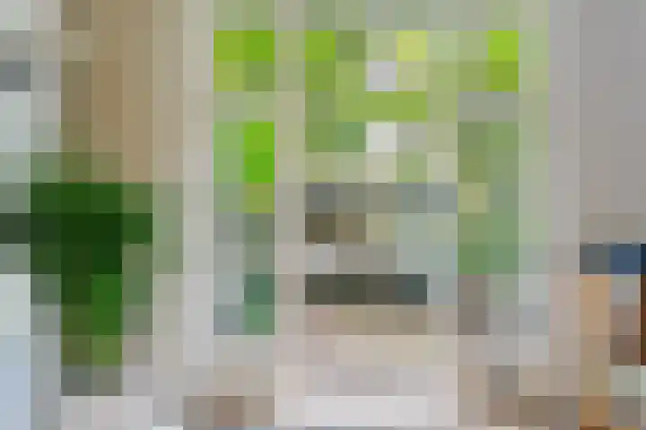 Wilhelminastraat 47 H Amsterdam thumbnail 13