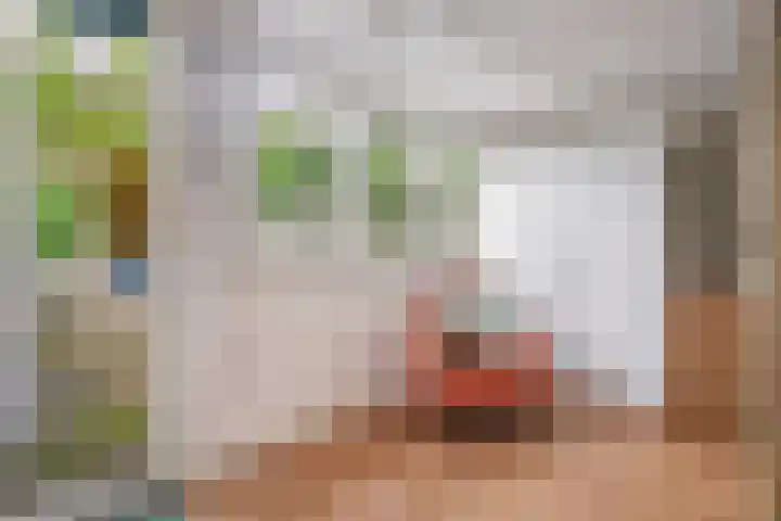 Wilhelminastraat 47 H Amsterdam thumbnail 15