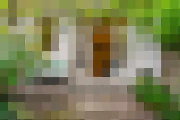 Wilhelminastraat 47 H Amsterdam thumbnail 17