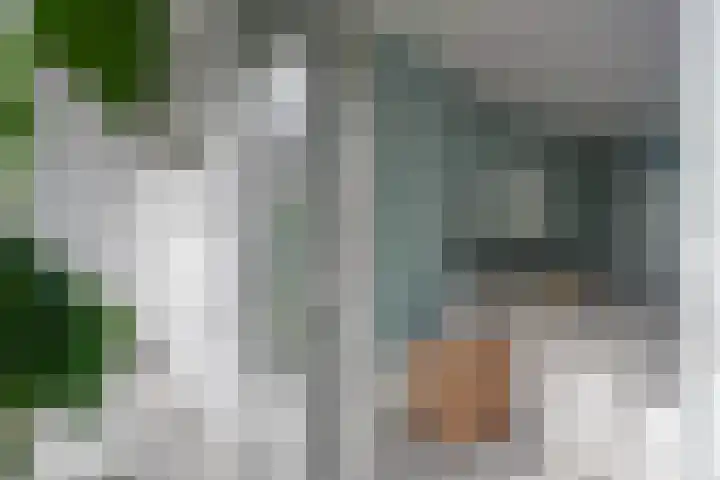 Wilhelminastraat 47 H Amsterdam thumbnail 21