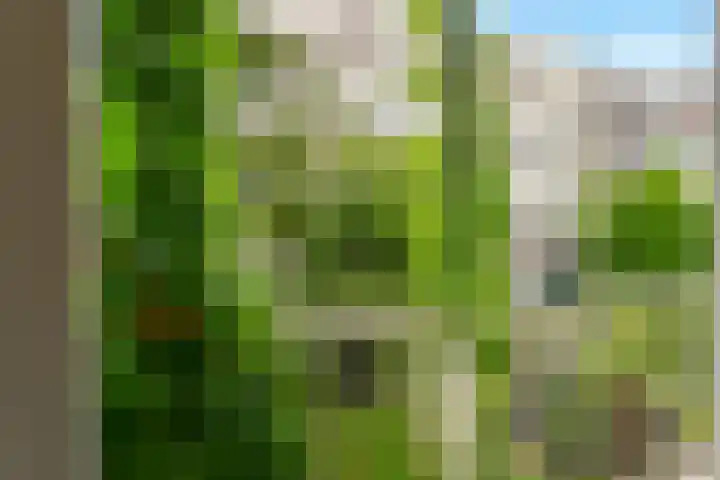 Wilhelminastraat 47 H Amsterdam thumbnail 22