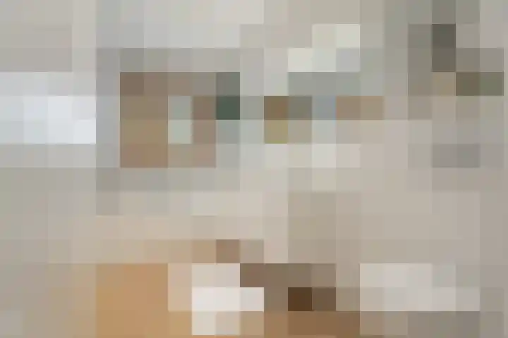 Wilhelminastraat 47 H Amsterdam thumbnail 26