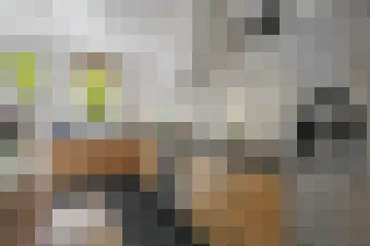 Wilhelminastraat 47 H Amsterdam thumbnail 6
