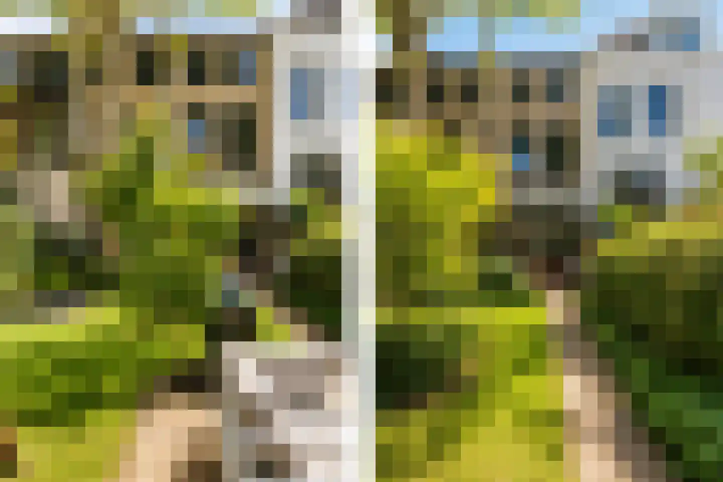 Wilhelminastraat 47 Haarlem thumbnail 4
