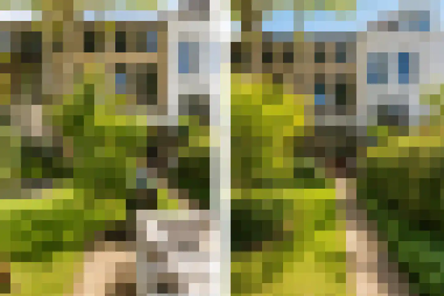 Wilhelminastraat 47 Haarlem thumbnail 59