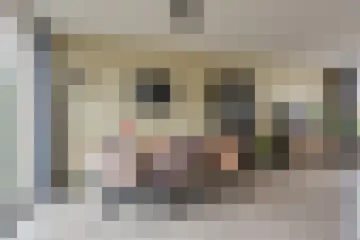 Wilhelminastraat 48 Berkel en Rodenrijs thumbnail 12