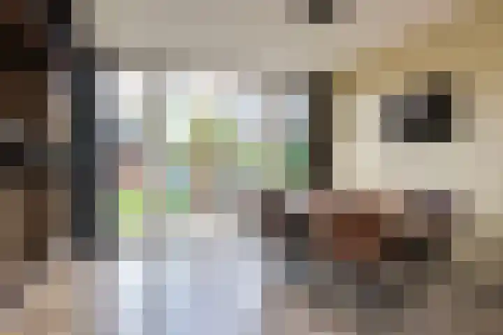 Wilhelminastraat 48 Berkel en Rodenrijs thumbnail 13